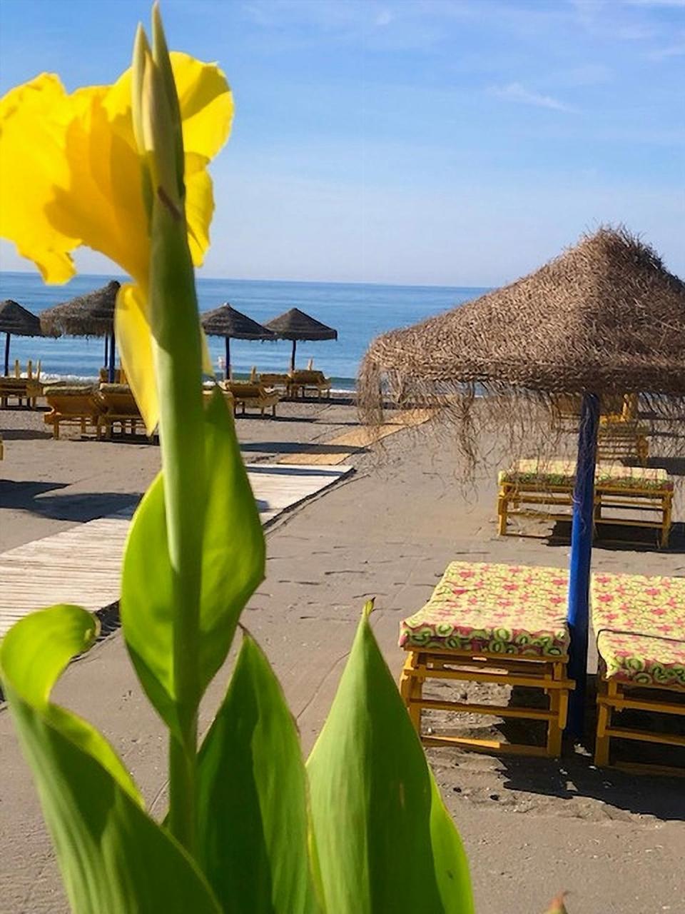 Spacious 1 Bedroom Apartment, Beach Front, Torrox Costa エクステリア 写真